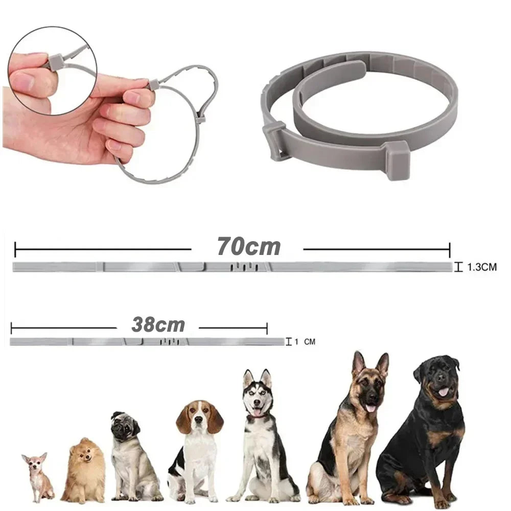 Adjustable Plastic Dog Collar Waterproof Pet Cat Puppy Collar Kitten Collars 70cm 38cm for Small Medium Large Dogs Pet Supplies