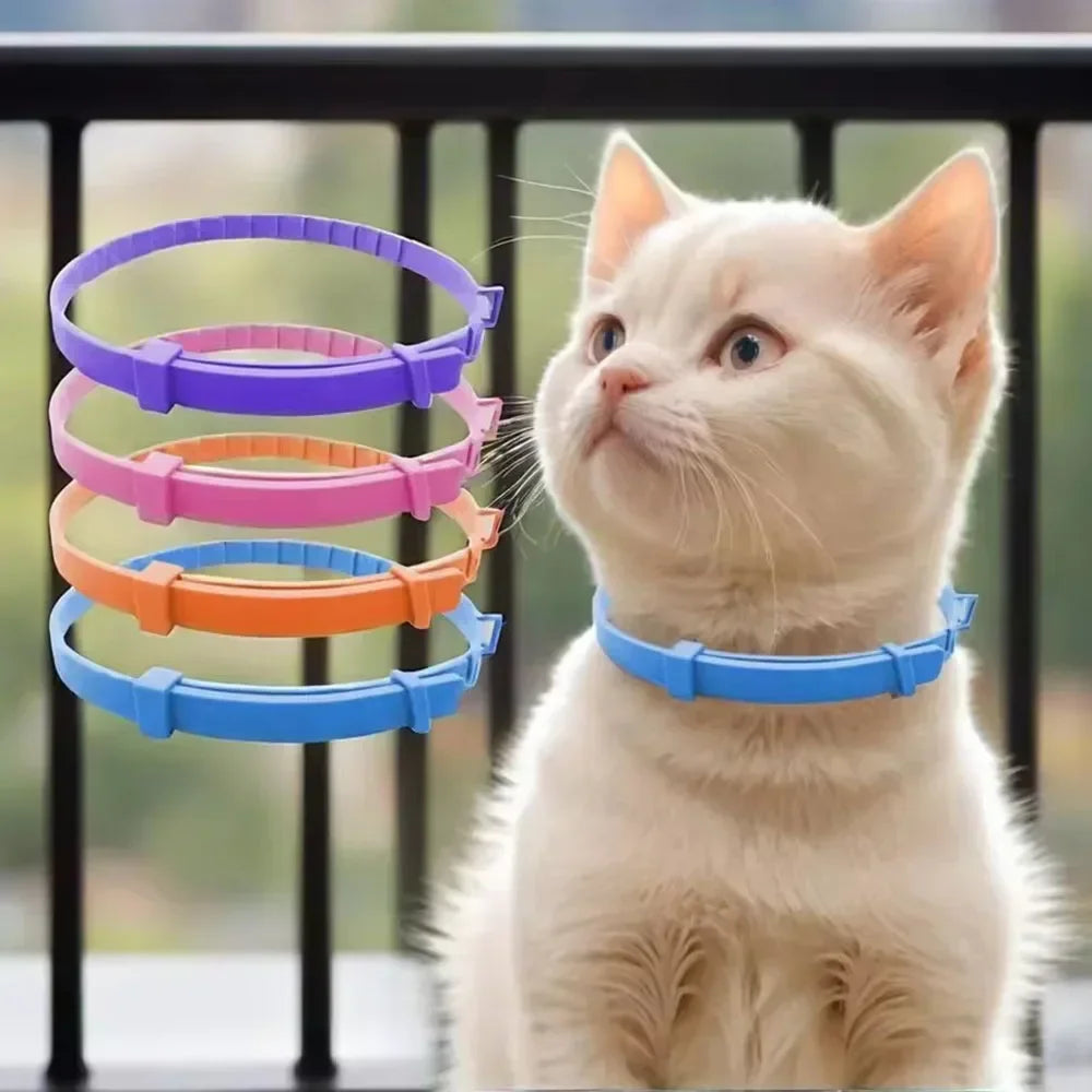 Adjustable Plastic Dog Collar Waterproof Pet Cat Puppy Collar Kitten Collars 70cm 38cm for Small Medium Large Dogs Pet Supplies