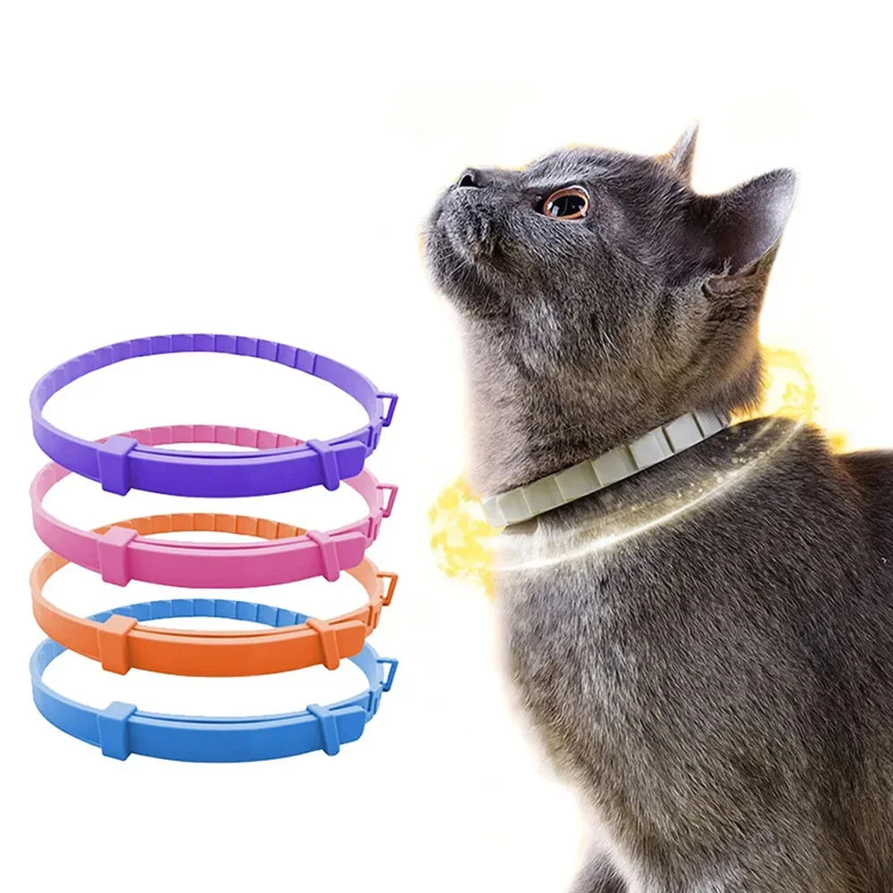 Adjustable Plastic Dog Collar Waterproof Pet Cat Puppy Collar Kitten Collars 70cm 38cm for Small Medium Large Dogs Pet Supplies